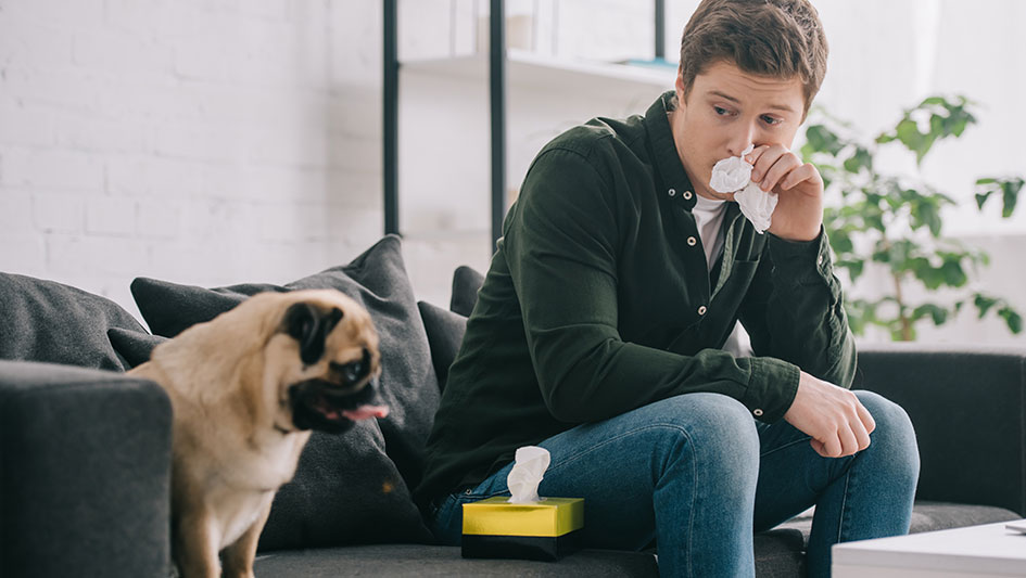 Getting an air purifier is one of the wisest methods to enhance your home’s indoor air quality. Find out more about the three top products. 